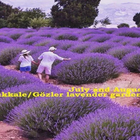 Vural Termal Apart Ξενοδοχείο Ντενιζλί