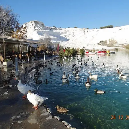 Ξενοδοχείο Vural Termal Apart *