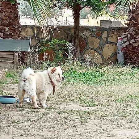 Vural Termal Apart * Ντενιζλί