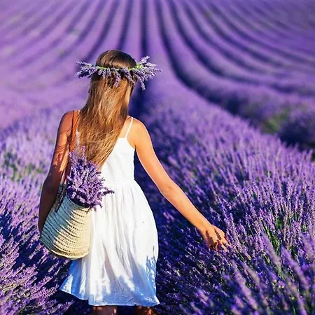 Vural Termal Apart Ξενοδοχείο