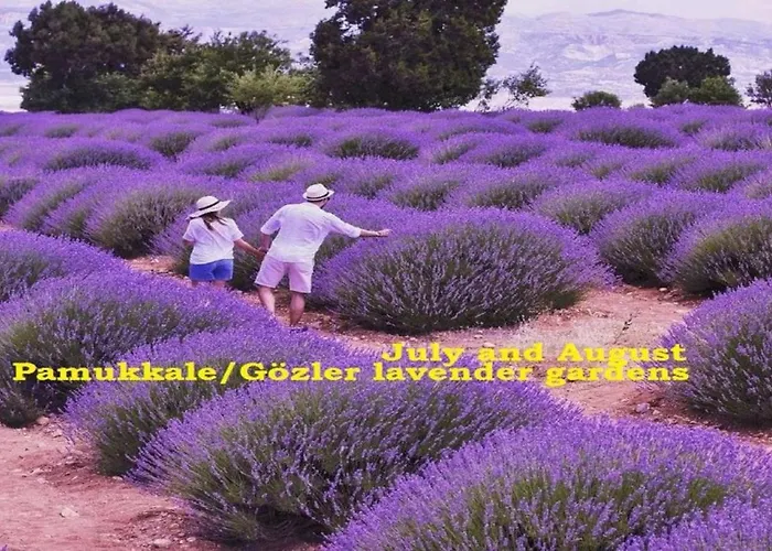 Vural Termal Apart Hotel Denizli (Denizli)