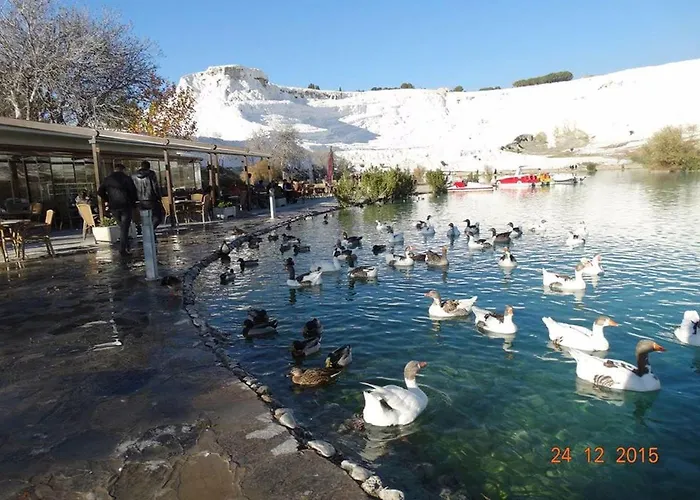 Vural Termal Apart Denizli (Denizli)