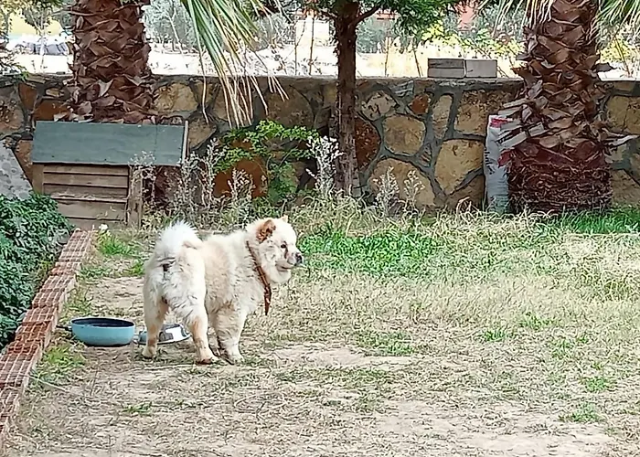 Vural Termal Apart * Denizli (Denizli)