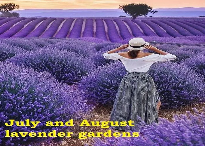 Hotel Vural Termal Apart