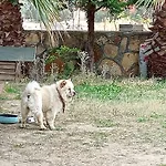 Vural Termal Apart * Ντενιζλί