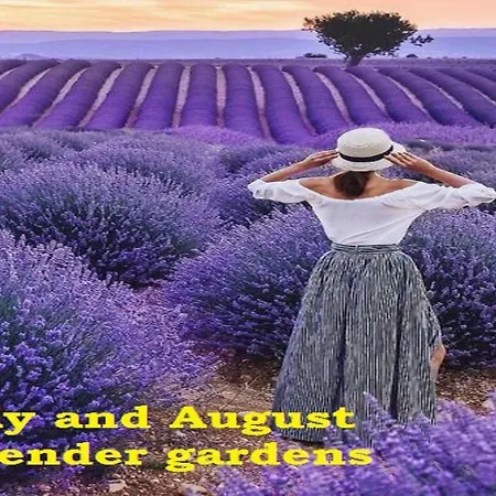 Hotel Vural Termal Apart