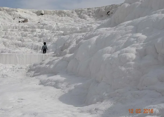 Hotel Vural Termal Apart Denizli (Denizli)