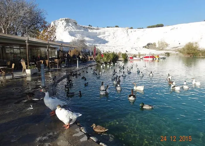 Hotel Vural Termal Apart *