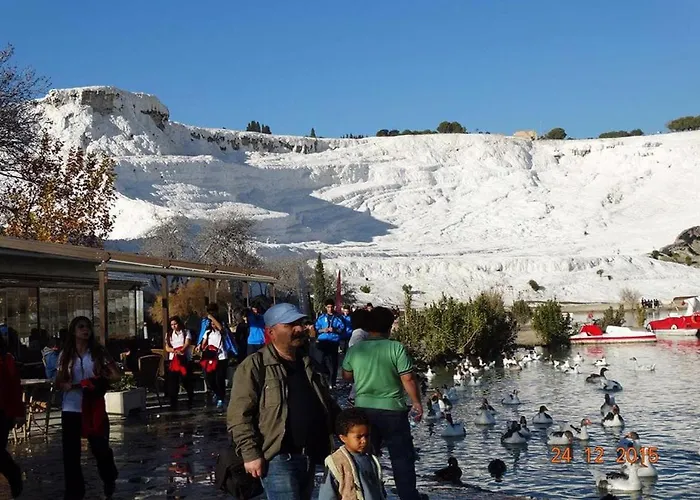 Vural Termal Apart Denizli (Denizli)